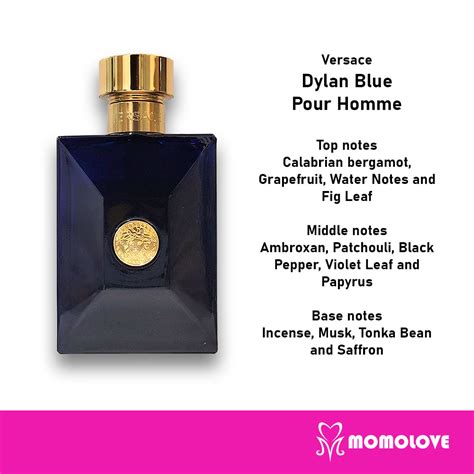 versace pour homme top notes|versace pour homme dylan blue.